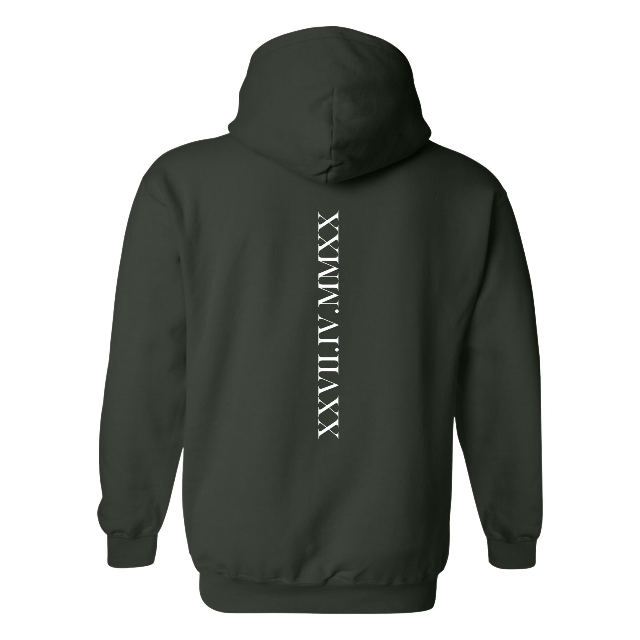 Datum Hoodie